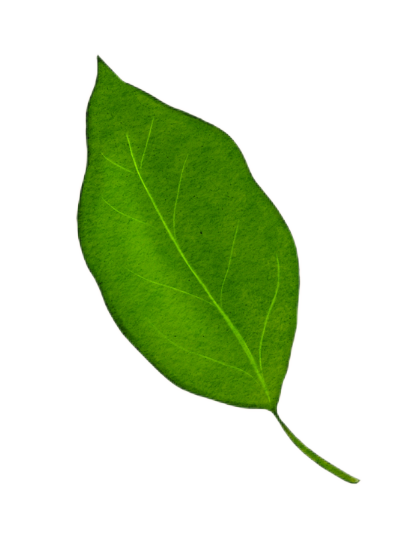 leave